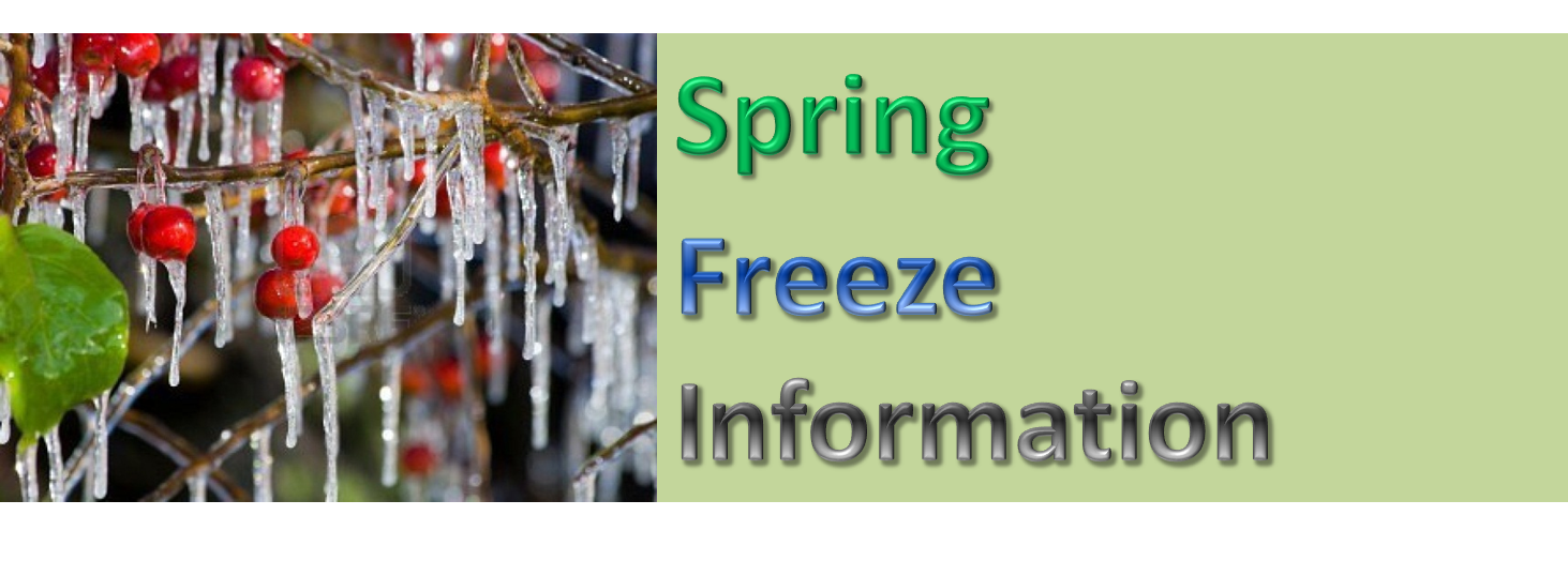 Spring Freeze Information 