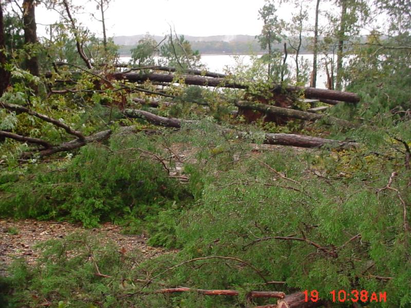 Storm damage near Riverton
