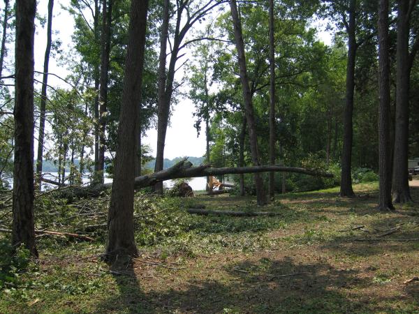 Storm damage near Pickwick Lake