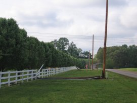 Storm Damage in Madison County