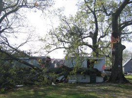 Storm Damage in Madison County