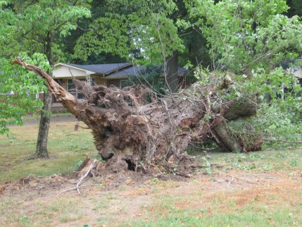 Storm Damage in Morgan County