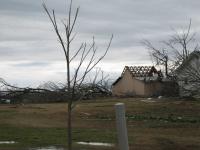 Tornado Damage near Rosalie, AL