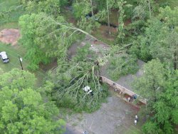 A tree fell on the roof of this apartment complex, nearly splitting it in half. Image courtesy Cullman County EMA.