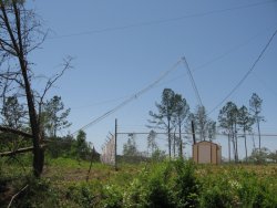 This radio tower was no match for the tornado's violent winds.
