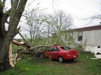 Falling trees caused most of the damage in the Laceys Spring area. This car was among the numerous objects damaged by trees and large tree branches. 