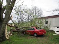 Falling trees caused most of the damage in the Laceys Spring area. This car was among the numerous objects damaged by trees and large tree branches.