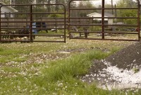 Large hail accumulated in southeast Morgan County 