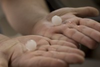 These hailstones fell just east of Holly Pond in Cullman County. (Courtesy 