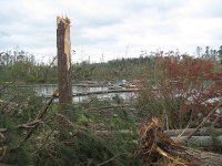 Countless softwood trees and some hardwood trees were snapped in the South Sauty community. Around twenty boathouses were destroyed in the area seen in this picture.