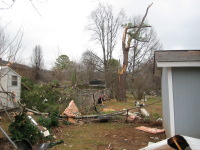 Tree damage and debris strewn across a neighborhood in northeast Huntsville.