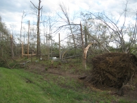 Trees downed and snapped near Mentone. ~949 kb