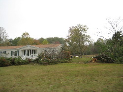 Several trees were uprooted or snapped near their base at this residence on CR 389.