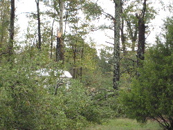  A large tree was snapped from it's base and other trees incurred varying degrees of damage from this weak tornado.