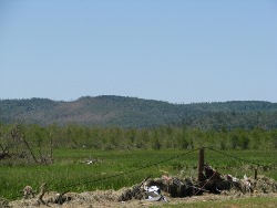 Taken from Mt Hope in Lawrence County..looking SW the tornado damage path can be seen over the hill from Franklin County. 