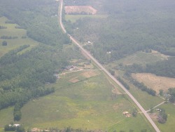 Aerial view of downed trees near Hwy 79