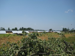 Southeastern Colbert County