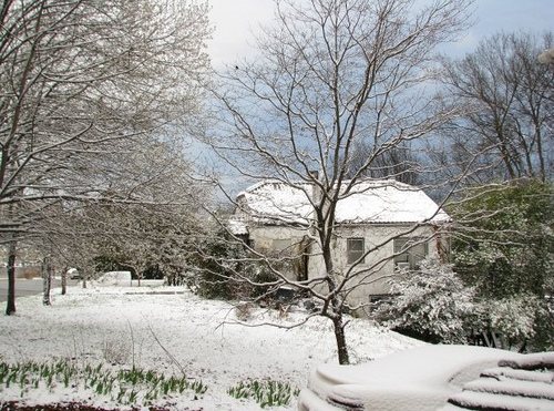 The winter storm of March 1, 2009 also brought a few inches of snow to parts of north Alabama. This picture was taken in Florence on the morning of the 1st. (Image courtesy Drew Richards)