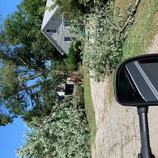 Large tree downed by damaging winds from a severe thunderstorm