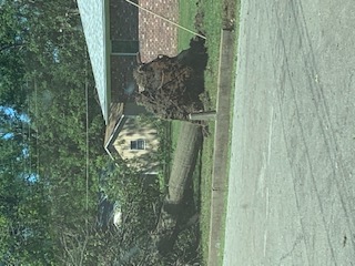 Large tree uprooted in Oswego, KS