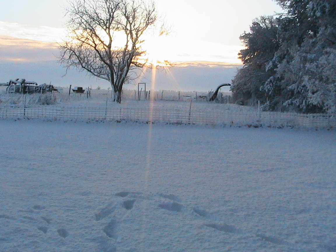 Early morning Easter snowfall across Kansas1152 x 864