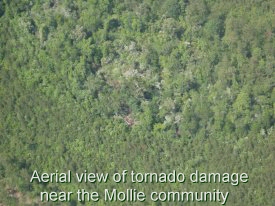 Aerial view of tornado damage near the Mollie Community