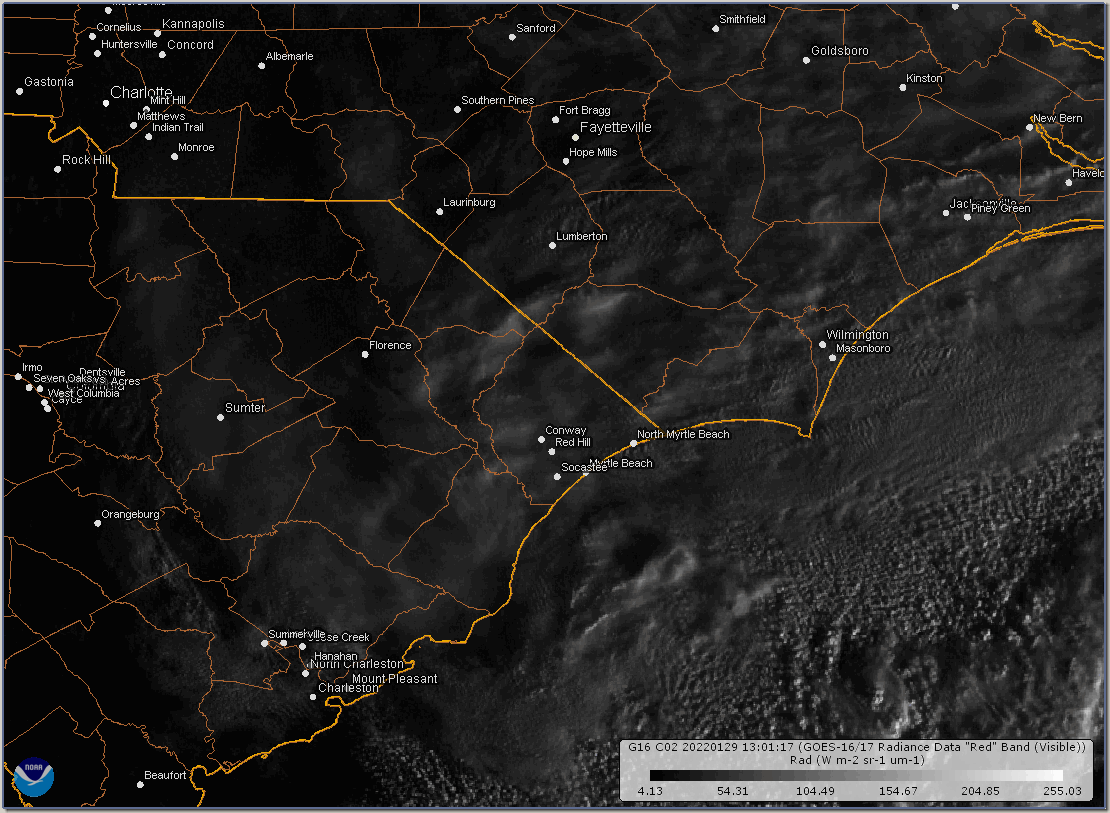 Visible satellite imagery during the morning of January 29 revealed snow on the ground across portions of eastern South Carolina.  The yellow highlight shows where greater than one inch of snow fell, turning the ground white