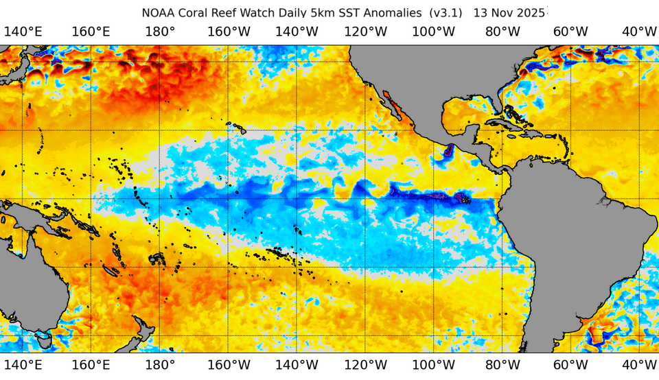Sea surface temperature anomalies as of November 10, 2024