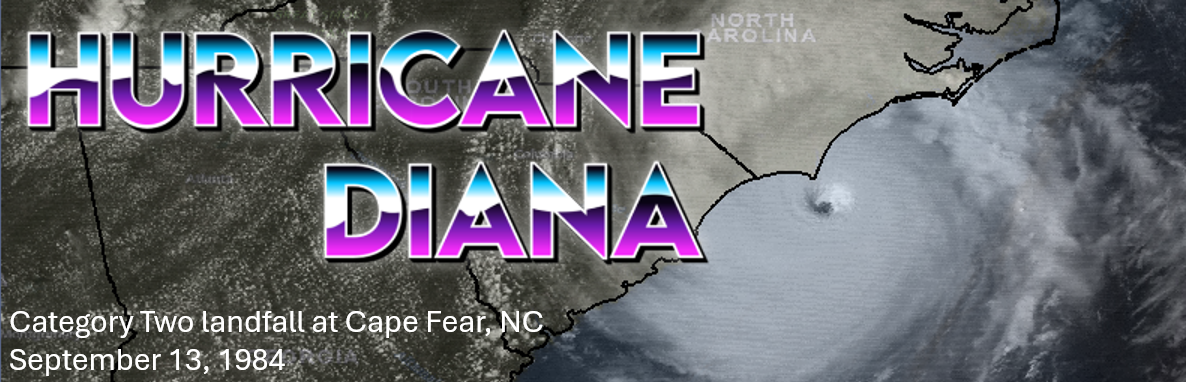 Hurricane Diana webpage header