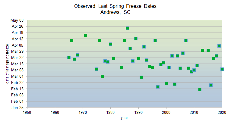 Observed spring freeze dates 1950-2020 in Andrews, SC