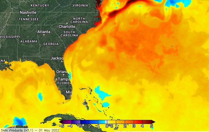 Sea surface temperature anomalies as of the end of May 2022. There is a large area of very warm water relative to normal between the Carolinas and Bermuda.