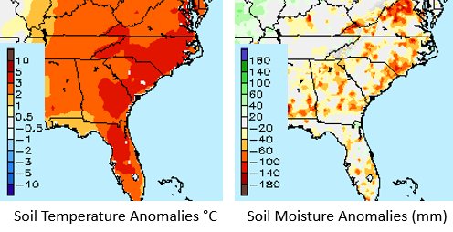 Soil temperature anomalies (left) and soil moisture anomalies (right)