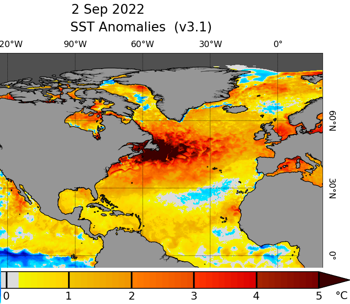 Sea Surface Temperature anomalies as of September 2, 2022.  Most of the North Atlantic north of the subtropics is very warm relative to normal