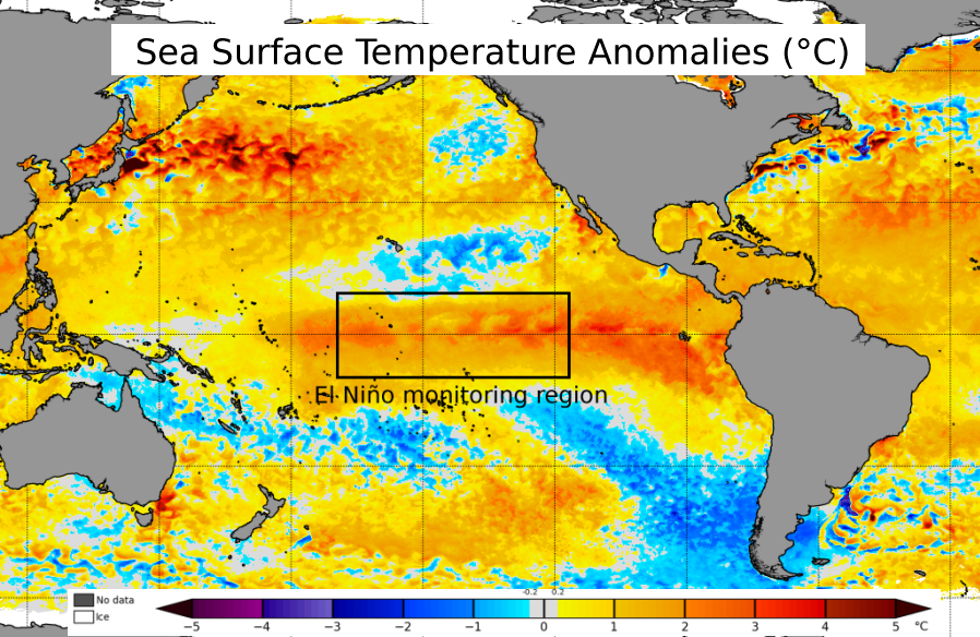 Sea surface temperature anomalies as of mid November 2023