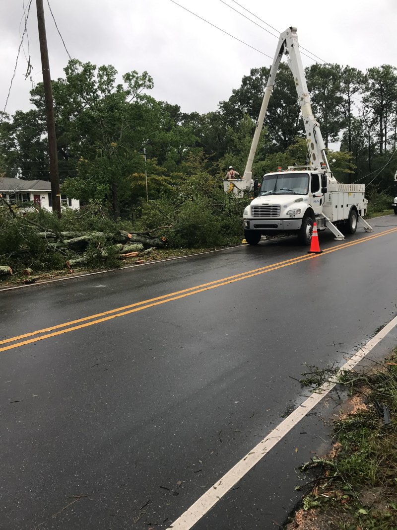 Trees and power lines were blown down by an EF1 tornado during Tropical Storm Idalia