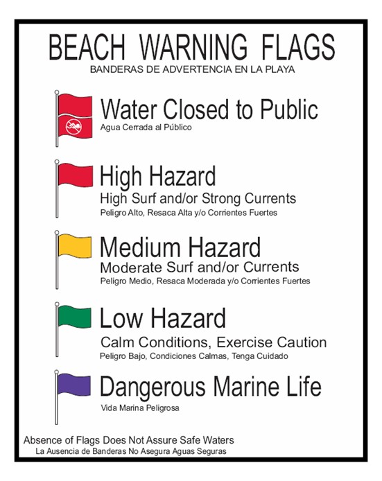 Beach flag color examples and meanings