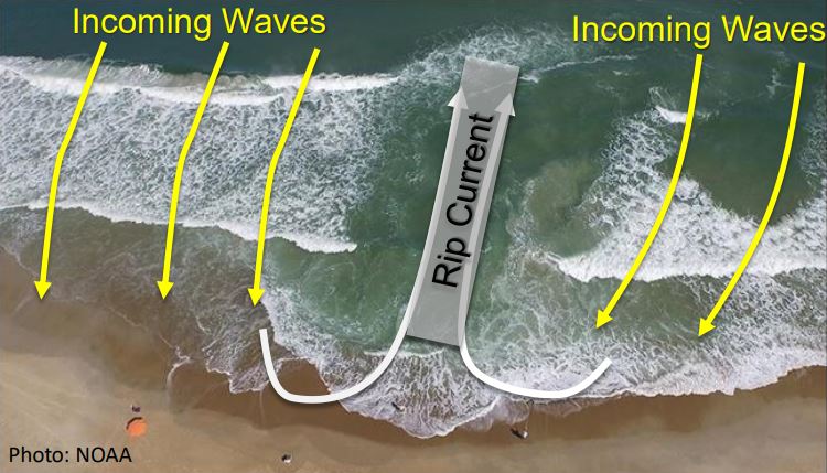 Image annotated with incoming waves directly onshore on either side of a rip current going out