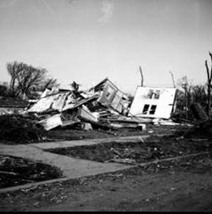 Lacon damage. Photo by Jack Gerardo.