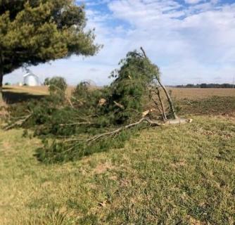 Damage tree