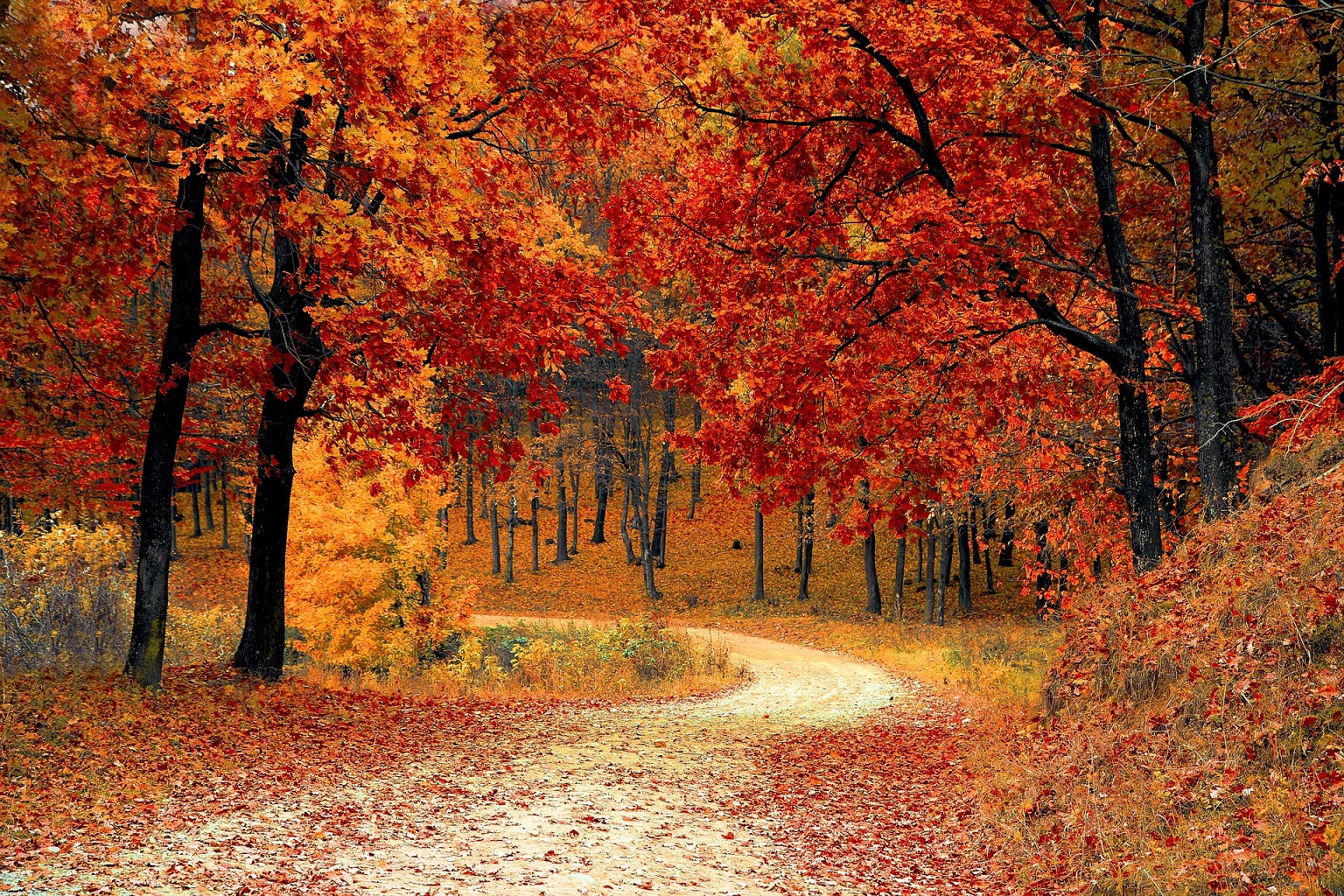 Feelings Of Autumn – Overthinking It