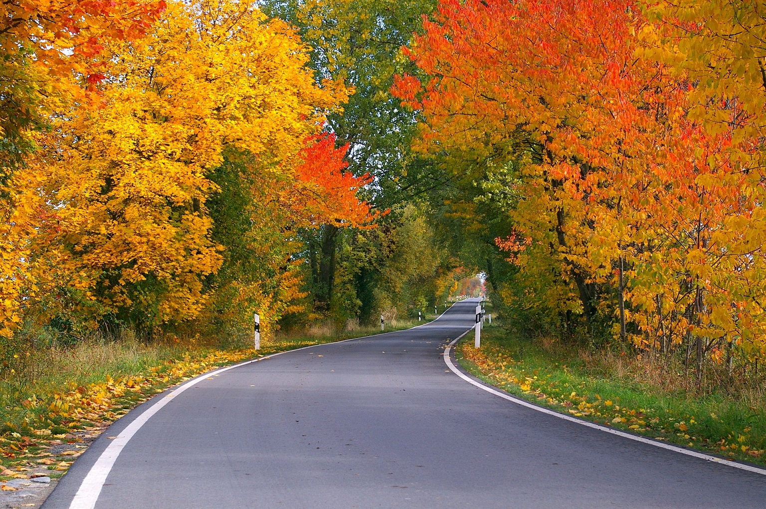 Fall Colors Report