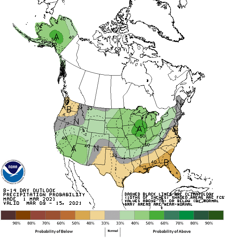 March 2021 Precipitation Outlook