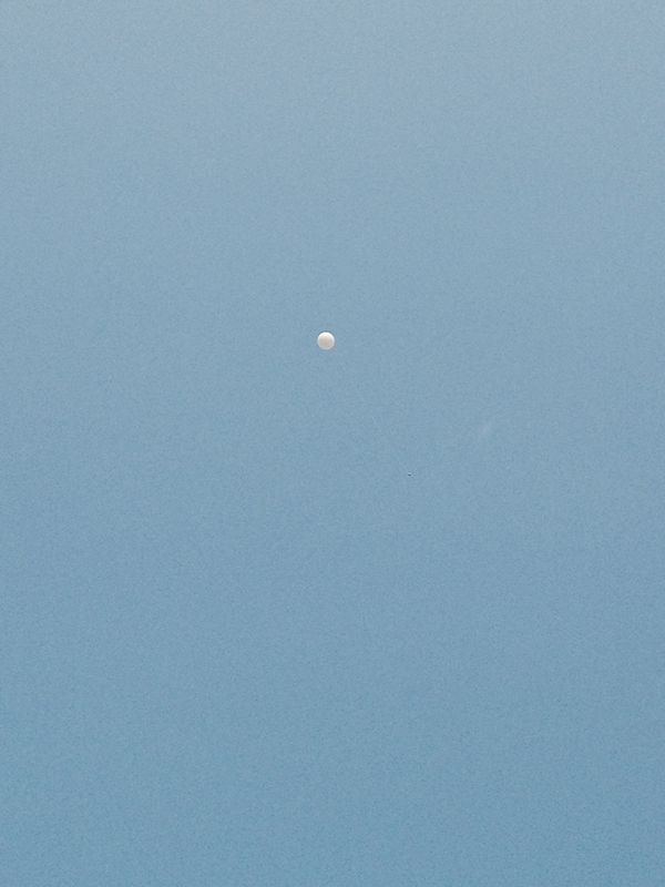 Balloon in the air