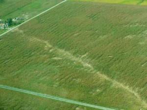 Tornado Track - State Road 28 near Alexandria