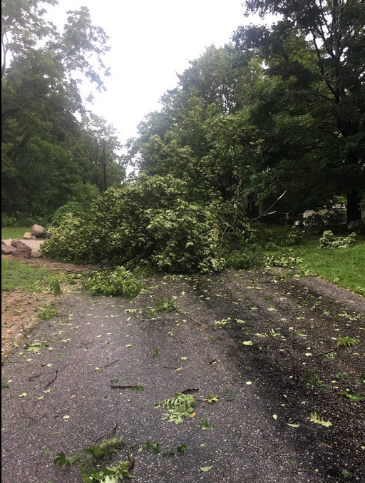 Damage near Whitestown