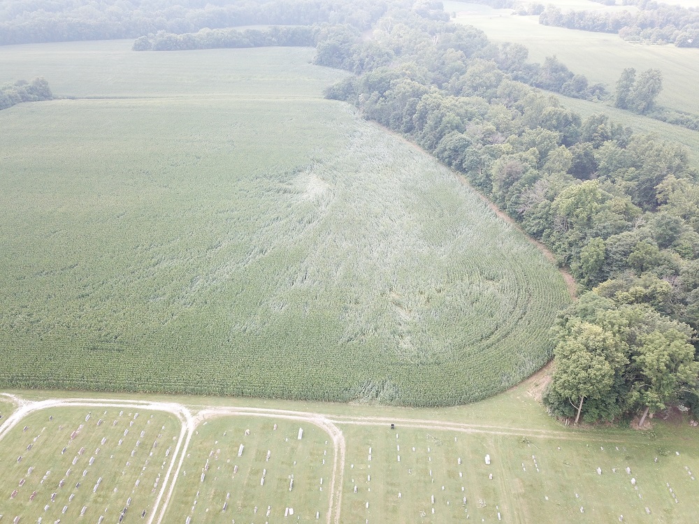 Wind/tornado path in field