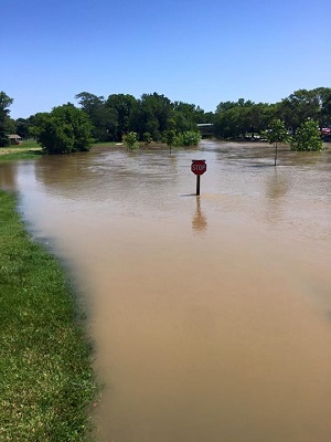 Haw Creek July 14