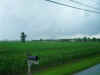 Tornado east of Mooresville 1
