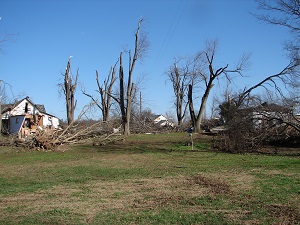 Damage Picture