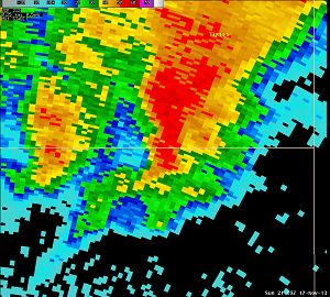 Reflectivity Image